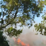 Ola de incendios en el cerro de la Bda. de la Paz