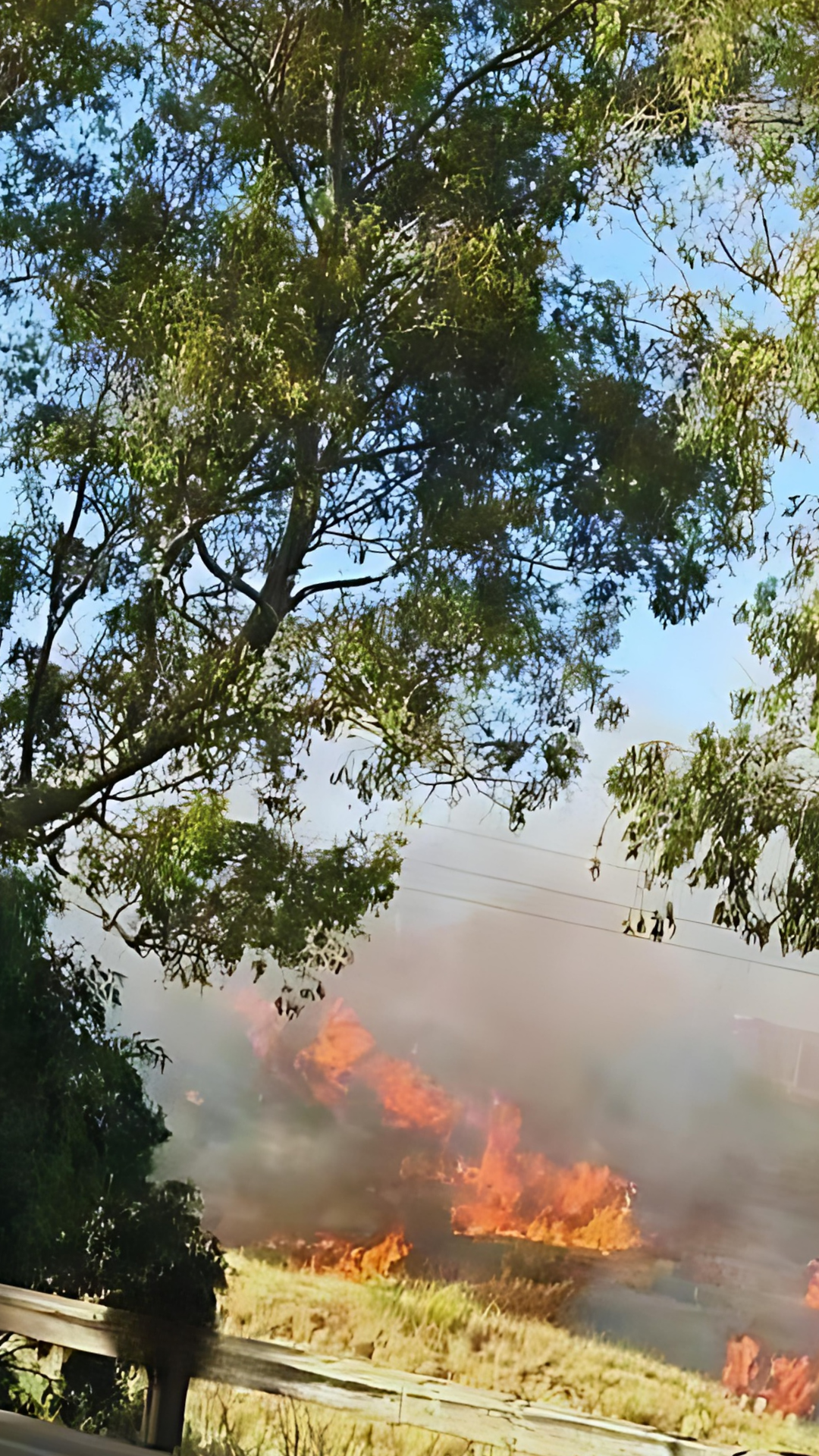 Ola de incendios en el cerro de la Bda. de la Paz